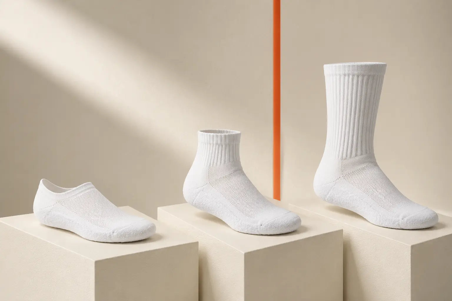 Editorial lineup of D7 No Show, Ankle and Crew lengths